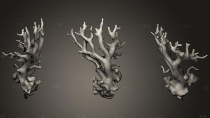 Corallium Rubrum 3d stl for CNC